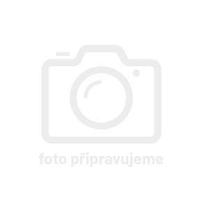 Psyllium Psyllium