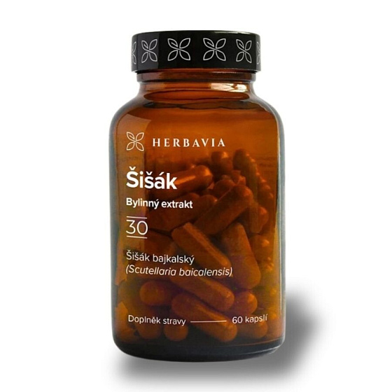 Šišák bajkalský