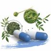 Moringa Nahrungsergänzungsmittel