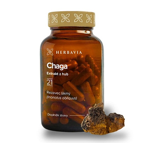 Chaga Chaga