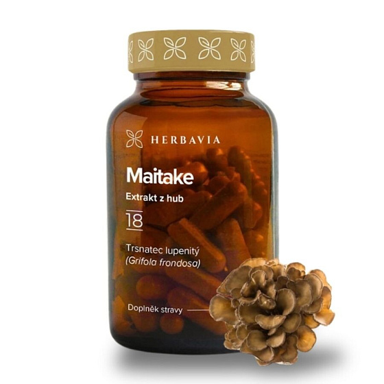 Maitake